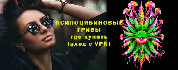 тгк Алексин