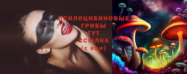 сатива Алзамай