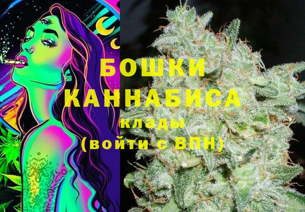 МДПВ Протвино