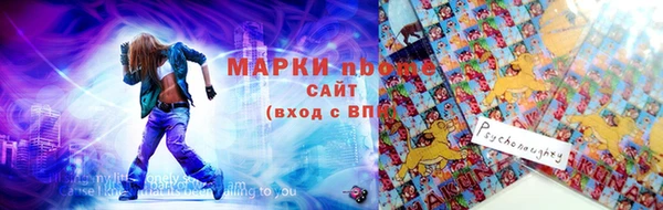 сатива Алзамай