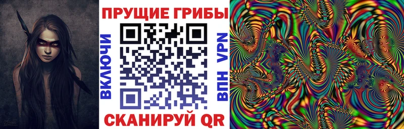 даркнет наркотические препараты  Уварово  Галлюциногенные грибы Cubensis 